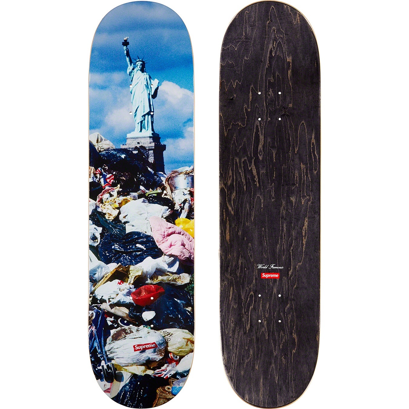 Trash Skateboard view 2